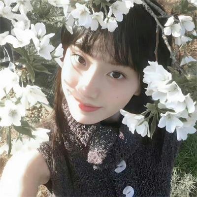 曼谷风月宝鉴